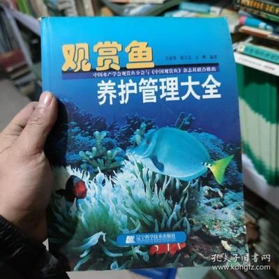 袋裝觀賞魚（袋裝觀賞魚包裝袋使用方法） 雙線側(cè)魚 第2張