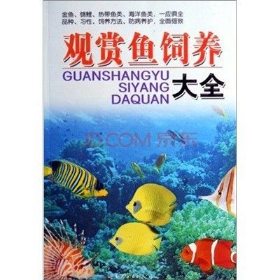 觀賞魚什么（關(guān)于觀賞魚的知識，你了解多少？） 國產(chǎn)元寶鳳凰魚 第4張