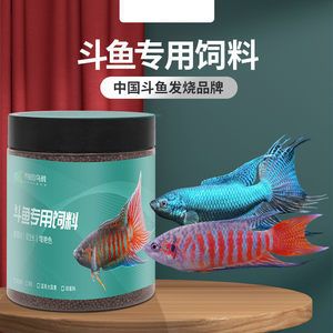 斗魚飼料什么牌子好（斗魚飼料與健康） 黃金達摩魚 第3張