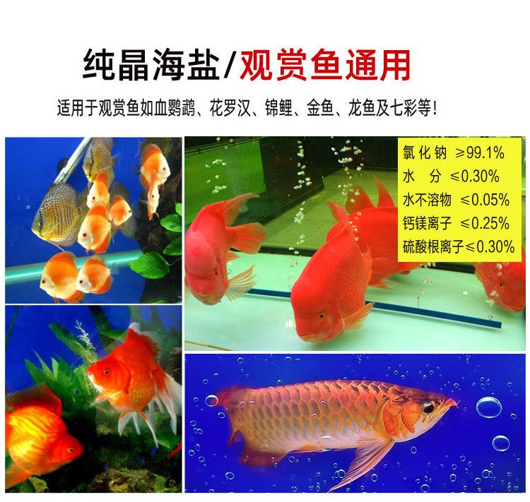 觀賞魚能放食用鹽嗎（鹽在水族中的神秘作用） 銀古魚苗 第1張