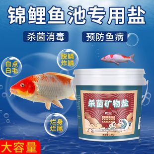 觀賞魚能放食用鹽嗎（鹽在水族中的神秘作用） 銀古魚苗 第3張