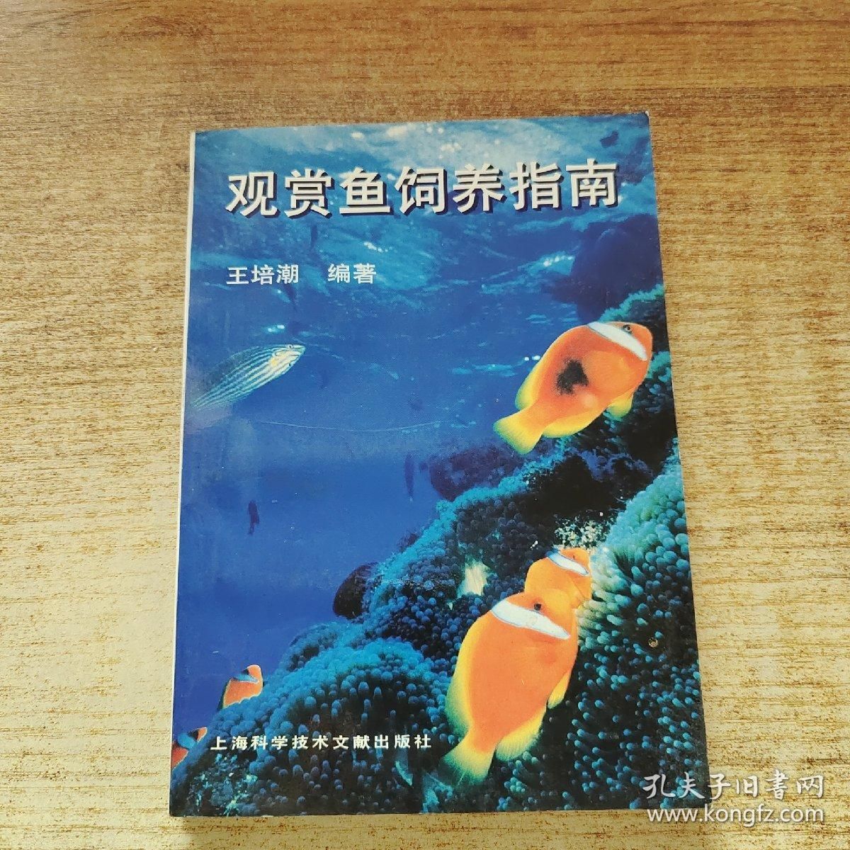 觀賞魚文獻（2018-10-31觀賞魚養(yǎng)殖技術） 女王大帆魚苗 第1張