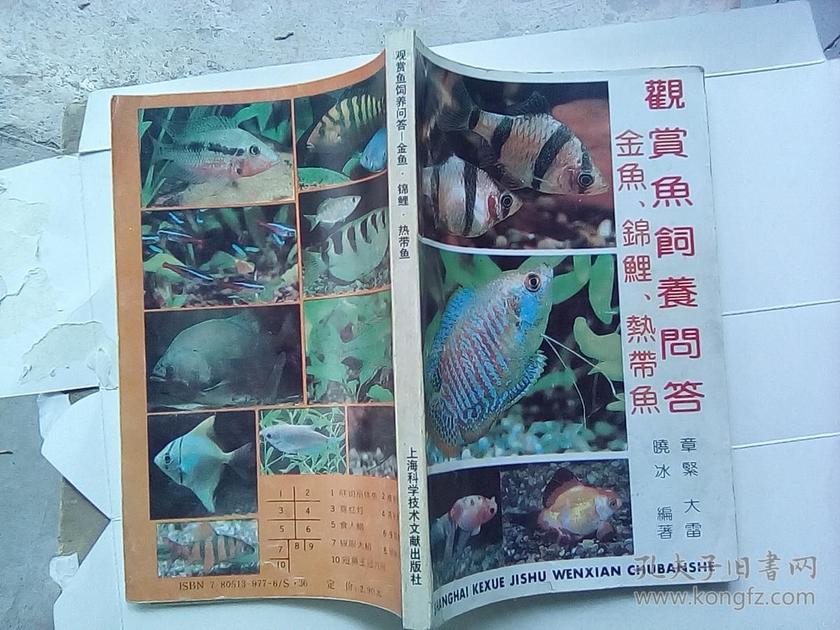 觀賞魚文獻（2018-10-31觀賞魚養(yǎng)殖技術） 女王大帆魚苗 第3張