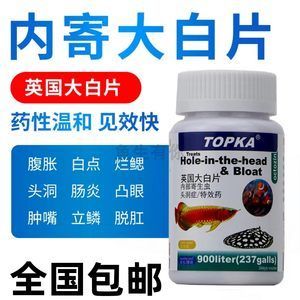 觀賞魚大白片治療腸炎有用嗎（大白片治療腸炎的方法） 巴西亞魚苗 第3張