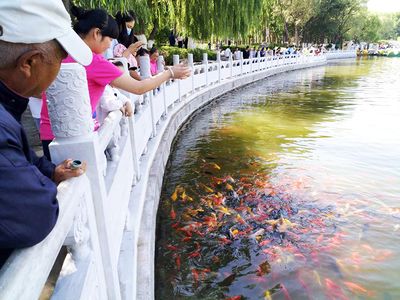 公園的觀賞魚(yú)可以釣走嗎（不讓釣魚(yú)屬于誰(shuí)管？）