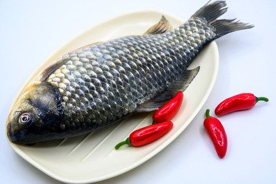 成年龍魚一天吃多少（成年龍魚的喂食建議）