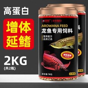 剛買來的龍魚幾天可以喂飼料（剛買來的龍魚需要適應環(huán)境一段時間后才能開始喂食）