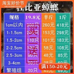 今年龍魚(yú)價(jià)格走勢(shì)圖最新（2024年龍魚(yú)價(jià)格一覽表） 龍魚(yú)百科 第2張