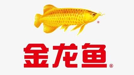 2024年金龍魚（金龍魚2024年一季度凈利潤同比增長13.57%重點發(fā)展）