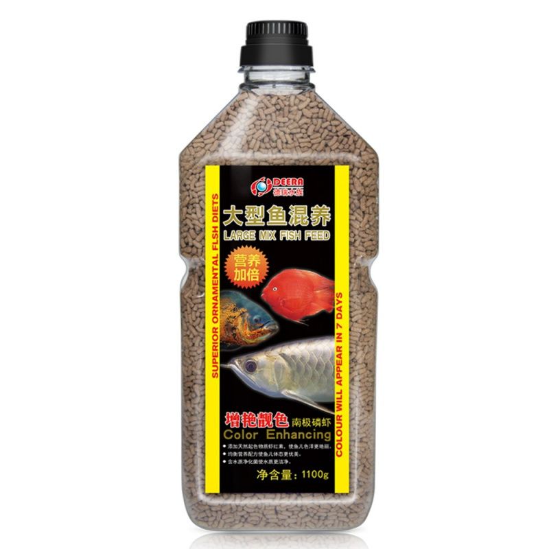 大銀龍魚吃什么飼料最好（大銀龍魚吃什么飼料最好銀龍魚吃什么飼料最好）