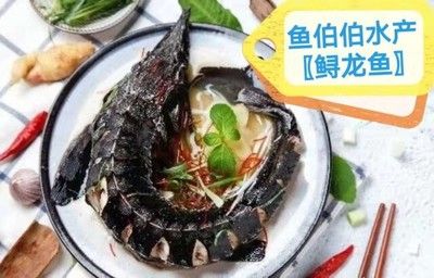 椒鹽水龍魚的做法竅門（椒鹽水龍魚的做法） 龍魚百科 第3張