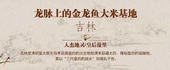 分析金龍魚品牌的內(nèi)涵是什么（金龍魚品牌的內(nèi)涵是什么？） 龍魚百科 第3張