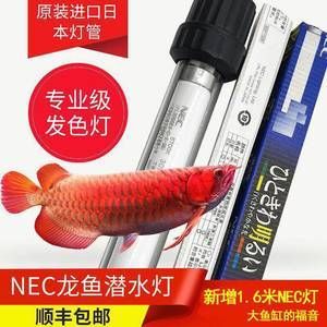 促進龍魚發(fā)色的藥物有哪些藥（2022龍魚藥水十大品牌排行榜_龍魚發(fā)色藥水什么牌子好） 龍魚百科 第3張