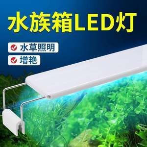 紅龍魚(yú)用led的燈可以嗎（紅龍魚(yú)使用led燈的詳細(xì)信息）