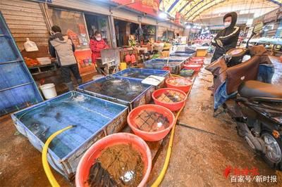 濟南哪里有賣龍魚的市場（山東省濟南市龍魚市場） 龍魚百科 第1張