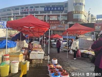 濟南哪里有賣龍魚的市場（山東省濟南市龍魚市場） 龍魚百科 第3張