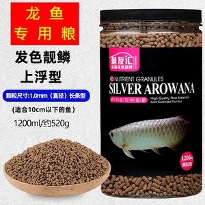 50厘米銀龍魚吃什么飼料最好呢（銀龍魚吃什么飼料最好）