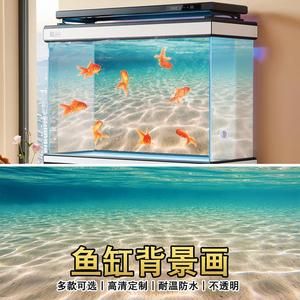 紅龍魚魚缸背景板用亞光面還是用亮光面（紅龍魚用什么背景好） 龍魚百科 第3張