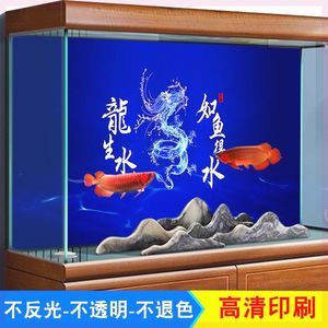 紅龍魚魚缸背景板用亞光面還是用亮光面（紅龍魚用什么背景好） 龍魚百科 第2張