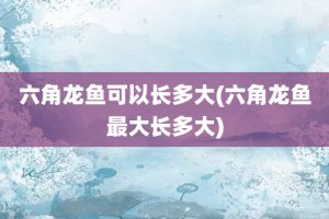 家養(yǎng)龍魚能長多大的魚（家養(yǎng)龍魚的體型大小受多種因素影響） 龍魚百科 第2張