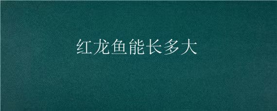 20厘米紅龍魚一年能長多大？（20公分的龍魚一年能長多大？）