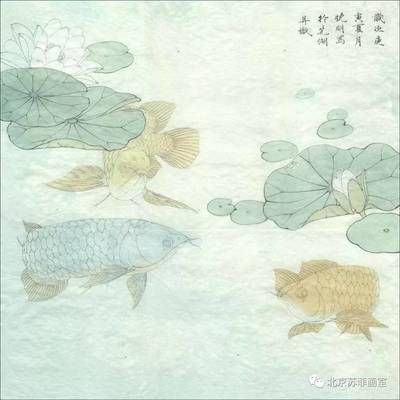 紅龍魚魚鱗發(fā)青綠色（紅龍魚的魚鱗發(fā)青綠色是怎么回事）