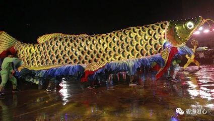 潮汕的龍魚(yú)（潮汕識(shí)魚(yú)大全|這么多魚(yú)和海鮮，你都認(rèn)得清嗎？） 龍魚(yú)百科 第1張