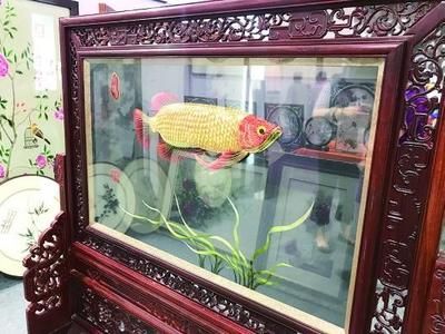 70厘米金龍魚價格表（70厘米金龍魚價格表70厘米金龍魚多少錢一條）