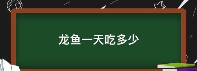 40cm龍魚一天吃多少斤飼料合適呢（龍魚一般喂多少飼料） 龍魚百科 第1張