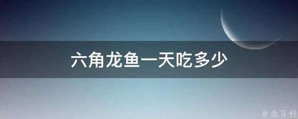 40cm龍魚一天吃多少斤飼料合適呢（龍魚一般喂多少飼料） 龍魚百科 第2張