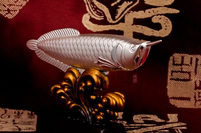 白銀龍魚(yú)吃什么長(zhǎng)的快又好養(yǎng)（白銀龍魚(yú)吃什么長(zhǎng)得快） 龍魚(yú)百科 第2張