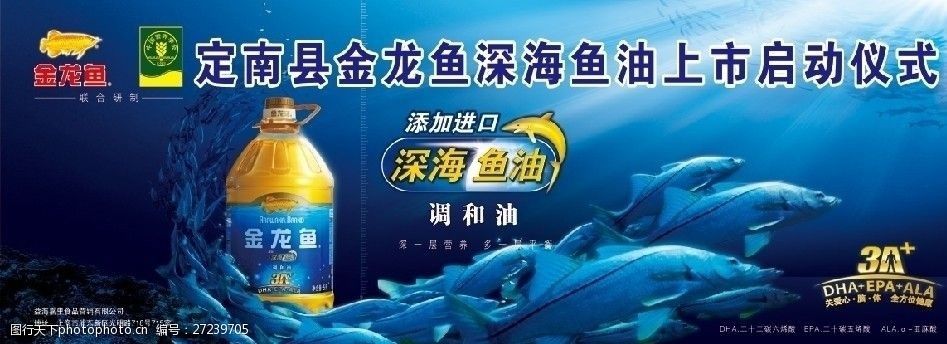 2024年金龍魚廣告視頻播放（金龍魚廣告-廣告-高清完整正版視頻在線觀看優(yōu)酷） 龍魚百科 第2張