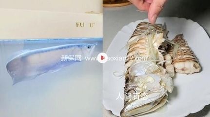 剛買回來的龍魚怎么處理干凈（買回來的龍利魚如何去內(nèi)臟？）