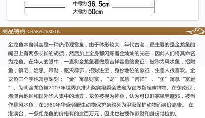 50厘米長的金龍魚價格多少錢一條（50厘米長的金龍魚價格） 龍魚百科 第3張