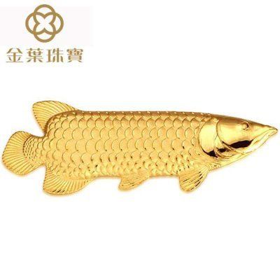 純金金龍魚（2019最新如何養(yǎng)金龍魚金龍魚養(yǎng)殖方法和注意事項）