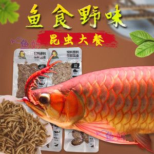 紅龍魚(yú)增色藥怎么用（關(guān)于紅龍魚(yú)增色藥的使用說(shuō)明：紅龍魚(yú)增色藥的使用）