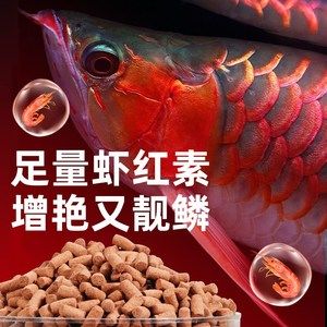 紅龍魚(yú)增色藥怎么用（關(guān)于紅龍魚(yú)增色藥的使用說(shuō)明：紅龍魚(yú)增色藥的使用）