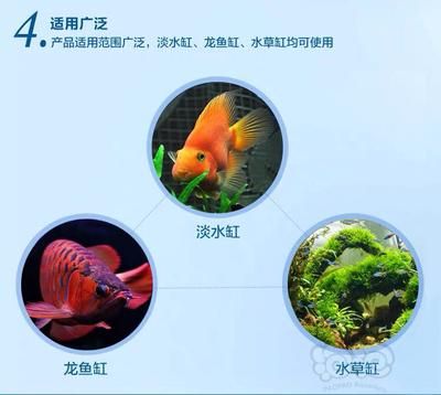 除藻劑對龍魚有害嗎（除藻劑對魚有害嗎）