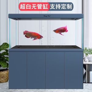 40cm寬魚缸能養(yǎng)龍魚嗎（120長40寬的魚缸能養(yǎng)龍魚嗎）