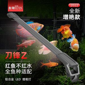 紅龍魚批發(fā)市場廣東的（廣州有哪些水產(chǎn)批發(fā)市場？）