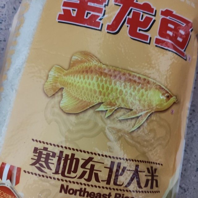 東北小金龍魚是什么魚種（東北小金龍魚的五大特點(diǎn)360問答加載更多） 龍魚百科 第2張