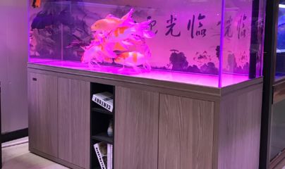 水族館加盟找祥龍魚場怎么樣（水族館加盟_水族館加盟費查詢網(wǎng)賺錢超級簡單）