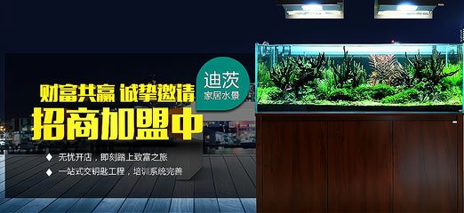 水族館加盟找祥龍魚場怎么樣（水族館加盟_水族館加盟費查詢網(wǎng)賺錢超級簡單）