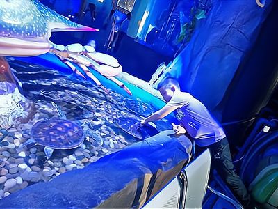 水族館加盟找祥龍魚場怎么樣（水族館加盟_水族館加盟費查詢網(wǎng)賺錢超級簡單） 龍魚百科 第4張