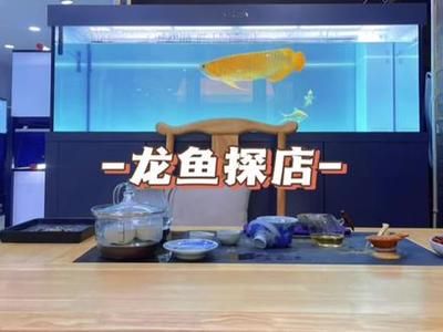 高端龍魚店（廣州龍魚高端龍魚店-成華雙橋子花鳥58同城）