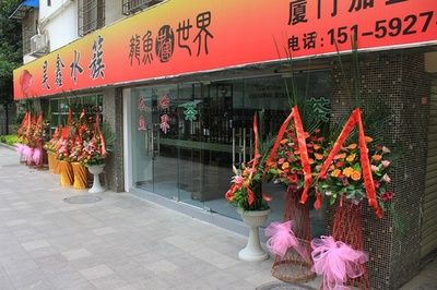 高端龍魚店（廣州龍魚高端龍魚店-成華雙橋子花鳥58同城）