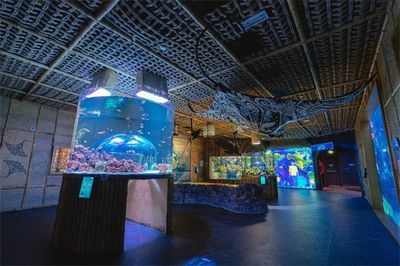 水族館加盟找祥龍魚場可以嗎（關(guān)于祥龍魚場提供水族館加盟服務(wù)的信息在搜索中并未直接提及） 龍魚百科 第5張