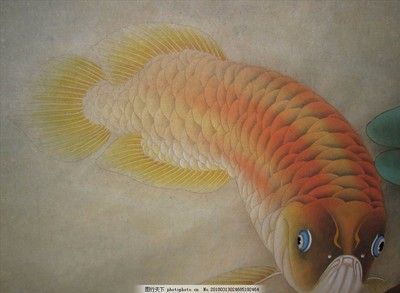 紅龍魚金龍魚壁畫（紅龍魚和金龍魚的壁畫設(shè)計(jì)） 龍魚百科 第5張