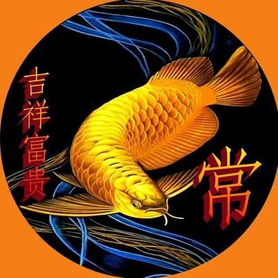 發(fā)金龍魚的微信說說（關(guān)于金龍魚的微信說說） 龍魚百科 第3張