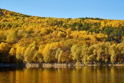 紅龍魚批發(fā)市場地址（紅龍魚批發(fā)市場地址如何查詢？） 龍魚百科 第5張